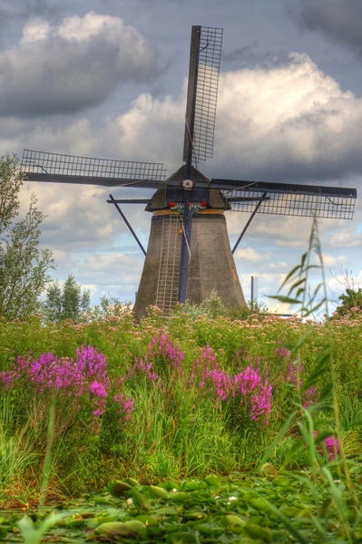 Molinos de viento en Kinderdijk, Holanda —  Fotos de Stock