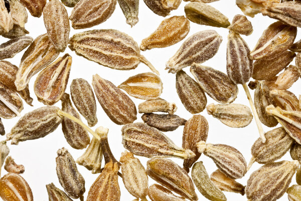 Ajwain Seed Herb Macro