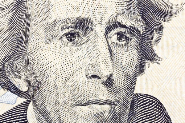 Andrew jackson makro nära upp oss tjugo dollar bill — Stockfoto