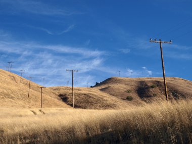 Grasslands and Phone Poles clipart