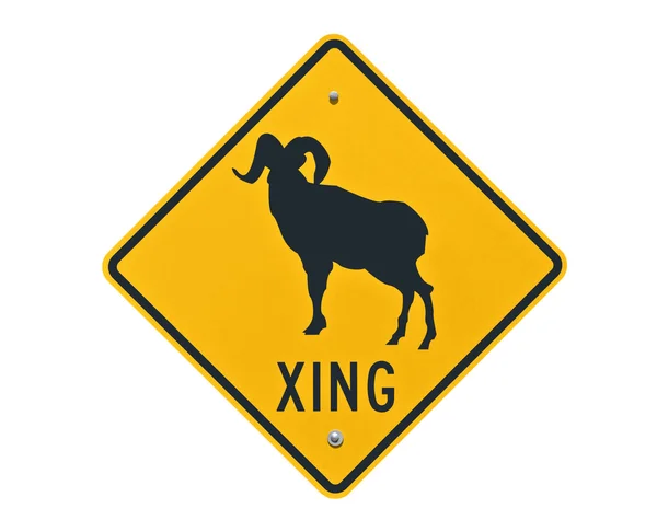 Big Horn Sheep Crossing Sign Isolated — Stock Photo, Image