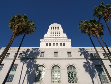 Palm Trees at City Hall clipart