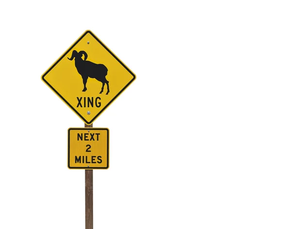 大角羊警告标志 — 图库照片