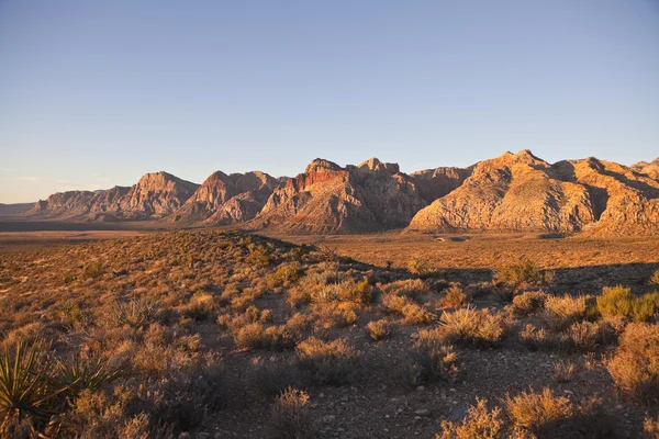Red Rock National Conservation Area - Dawn — Stock Photo, Image
