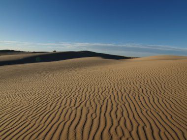 Mojave Dune clipart