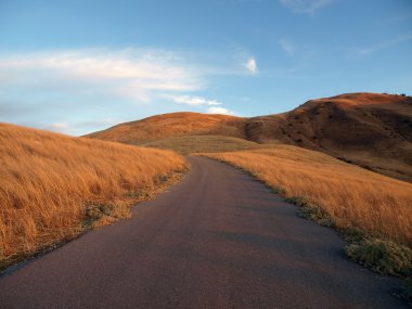 Küreği dağ yolu, chatsworth Kaliforniya.