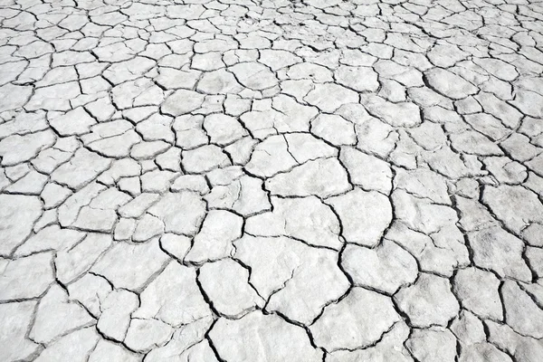 Сухий бруд озеро — стокове фото