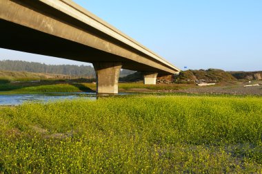 Bridge and Blooms clipart