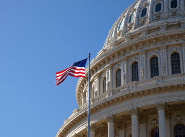 Capitol Dome clipart