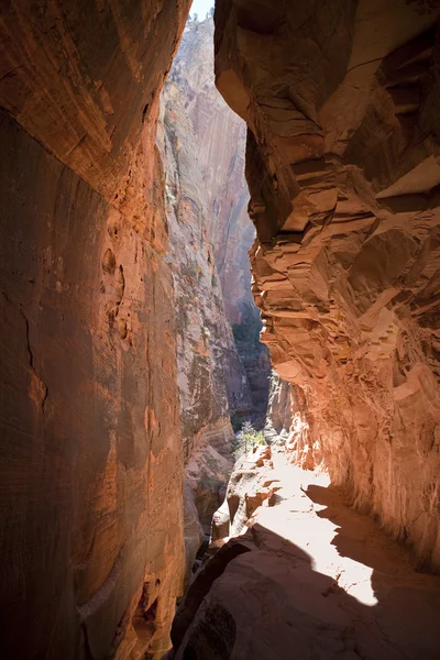 Canyon di fessura Zion NP — Foto Stock