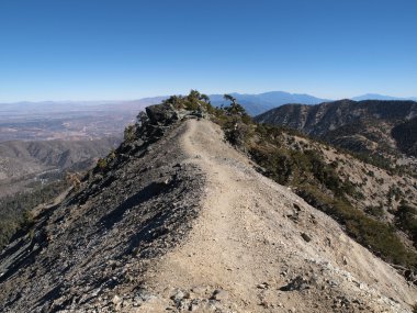 Şeytanın belkemiği Mt Baldy