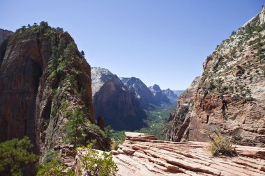 Zion N.P. Utah