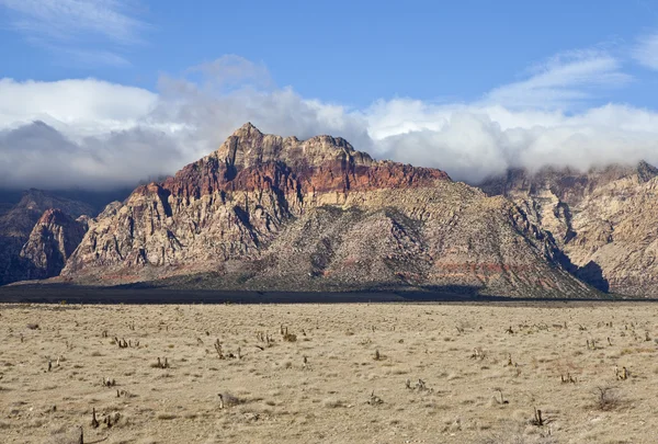 ネバダ州の砂漠 — ストック写真