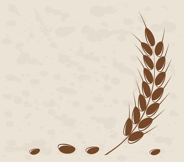 Oreille de blé en arrière-plan grange — Image vectorielle
