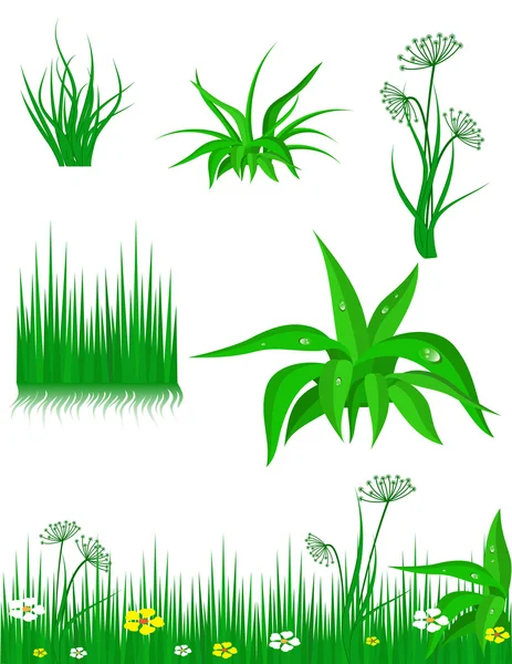 A zöld fű, fehér háttér — Stock Vector