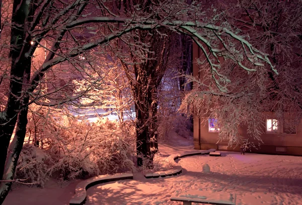 Night snow landscape — Stock Photo, Image