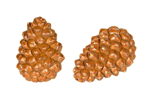 Pinjenötter isolerad på en vit bakgrund — Stockfoto