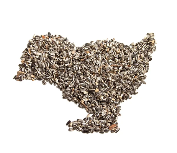 Sfondo di semi di girasole sotto forma di uccello . — Foto Stock