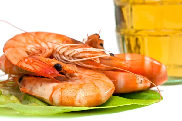 Čerstvé krevety na listu hlávkového salátu a sklenici piva izolovaných na bílém poz — Stock fotografie
