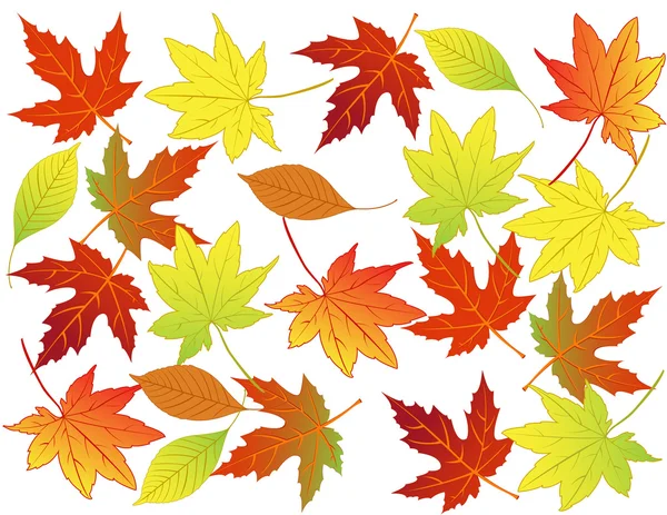 Herbst Blatt Hintergrund — Stockvektor