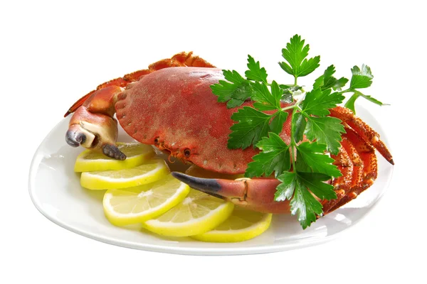 Krabbe auf einem Teller — Stockfoto