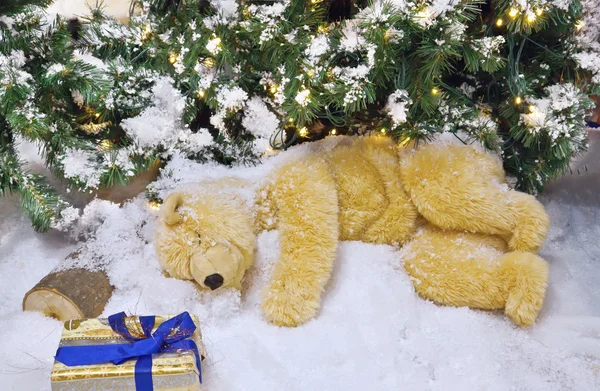 Der Eisbär schläft unter dem Weihnachtsbaum. — Stockfoto