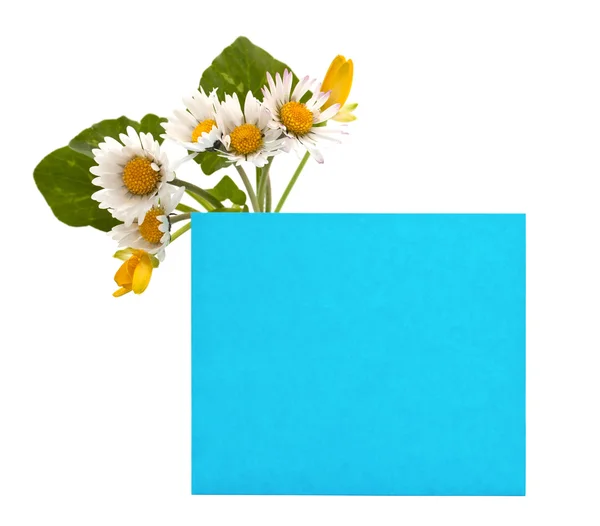 Espaço azul para o seu texto com um buquê de flores frescas — Fotografia de Stock