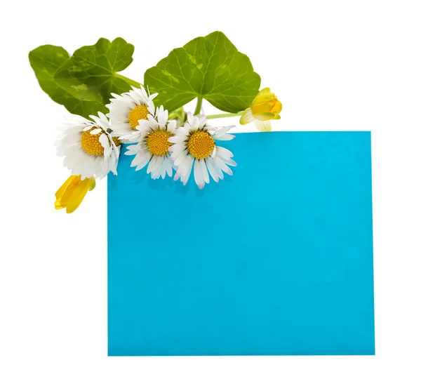 Espaço azul para o seu texto com um buquê de flores frescas — Fotografia de Stock