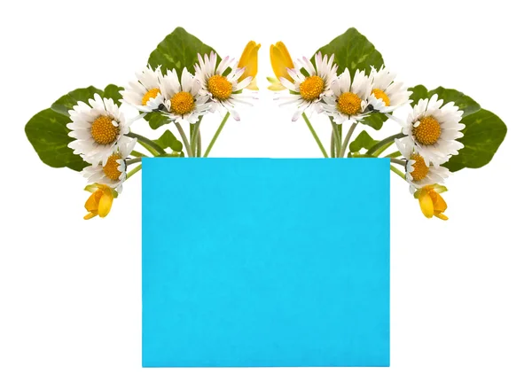 您的文本用一束的鲜花的蓝色空间 — 图库照片