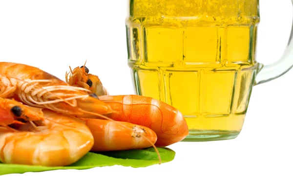 Camarão fresco em folha de alface e um copo de cerveja isolado em backgrou branco — Fotografia de Stock