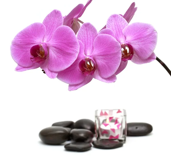 Roze orchid en zen stenen met een kaars — Stockfoto