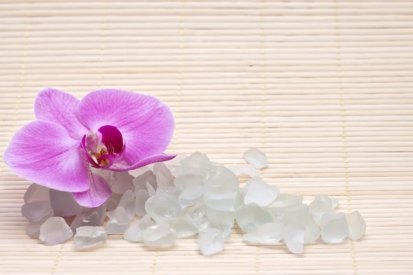 Růžová orchidej a koupelové soli. Spa sada — Stock fotografie