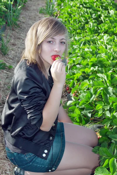 Chica recoge fresas frescas en el campo —  Fotos de Stock
