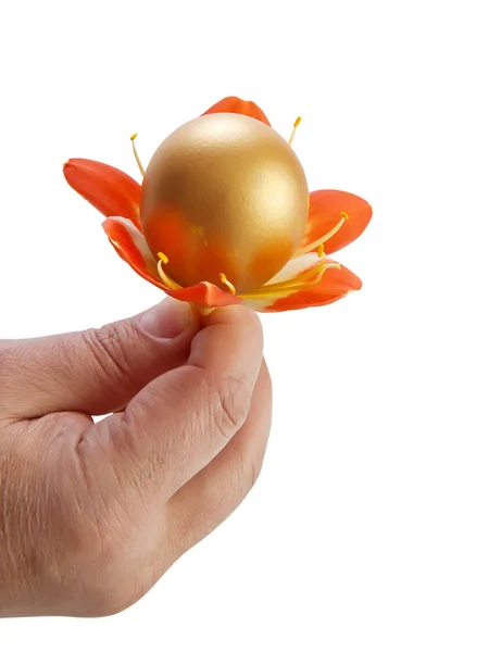 Telur Emas di tangan seorang pria dengan bunga — Stok Foto