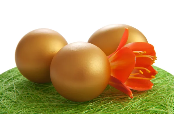 The golden egg with a flower on the grass. Isolate on white. — Stock Photo, Image