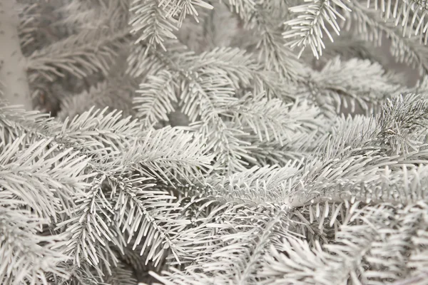 Baum im Schnee — Stockfoto