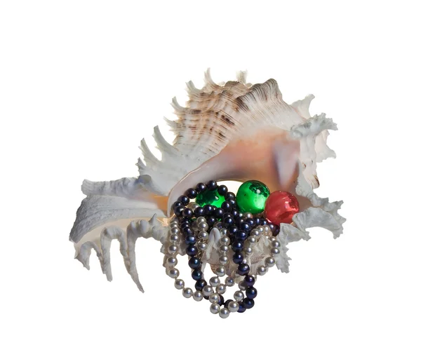 Inci boncuk ve inci, beyaz bir arka plan üzerinde izole deniz kabuğu — Stok fotoğraf