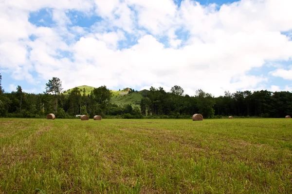 Роллы соломы в поле в солнечный день . — стоковое фото