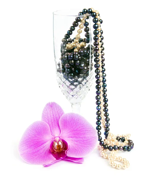 Orquídea com um colar de pérolas . — Fotografia de Stock