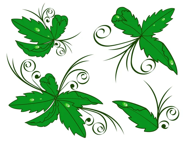Conjunto de hojas verdes con gotas de rocío —  Fotos de Stock