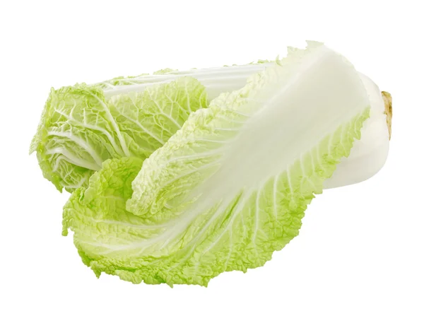 大白菜在白色背景上孤立 — 图库照片