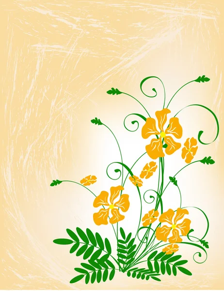 Motif floral orange — Image vectorielle