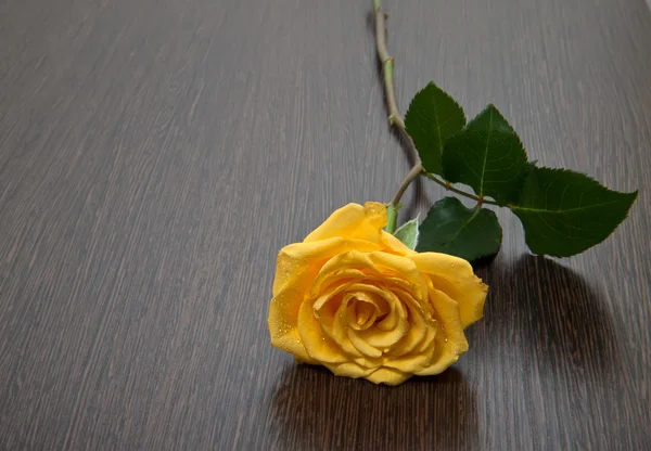 Žlutá růže na dřevěný stůl — Stock fotografie
