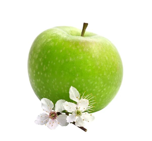 Зеленое яблоко с цветами яблони — стоковое фото
