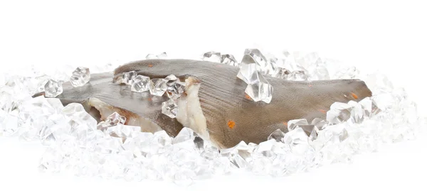 Buz portre üzerinde taze pisi balığı — Stok fotoğraf