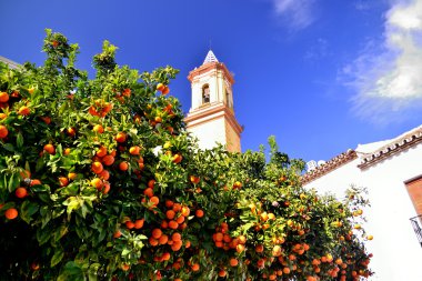 Church of Estepona clipart