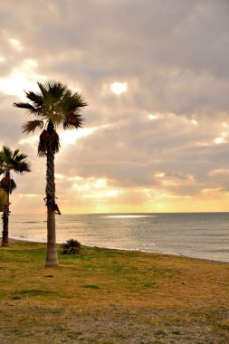 Rincon de la Victoria beach