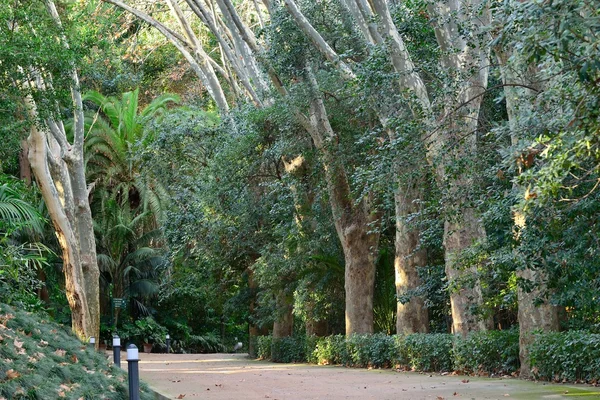 Malaga historischer park — Stockfoto