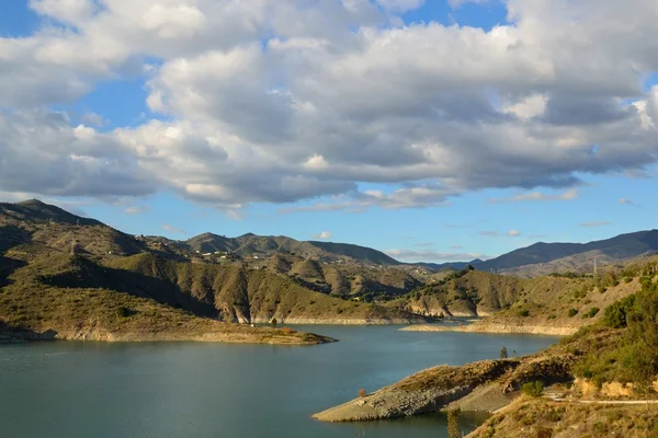 stock image Dam limonero