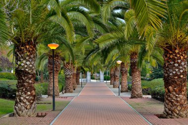 Park benalmadena